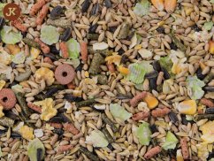 Dajana – COUNTRY MIX, Rat & Mouse 500 g, krmivo pre potkany a myši