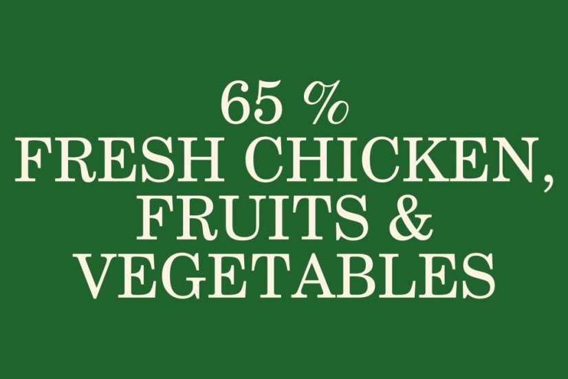 2,5 kg, Sam's Field Low Grain Junior Large Chicken & Potato, superprémiové granule, (Sams Field bez pšenice)