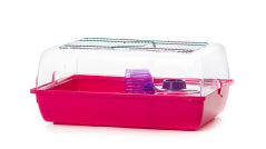 Inter Zoo Rody box Alex s výbavou 58 x 38 x 25 cm