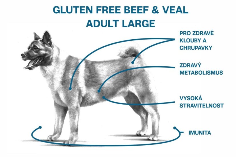 2,5 kg, Sam's Field Gluten Free Beef & Veal Adult Large, superprémiové granule, (Sams Field bez lepku)