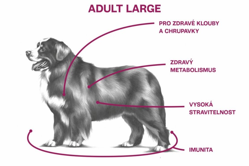 2,5 kg, Sam's Field Low Grain Adult Large Chicken & Potato, superprémiové granule, (Sams Field bez pšenice)