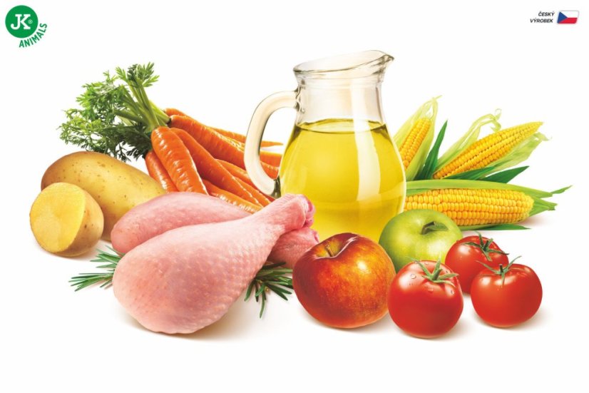 13 kg, Sam's Field Low Grain Adult Large Chicken & Potato, superprémiové granule, (Sams Field bez pšenice)