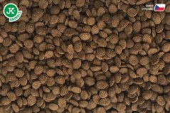 Dajana Turtle chips 1000 ml vodná korytnačka