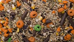 Zrniny a semienka, 1 kg, kompletné krmivo pre morčatá