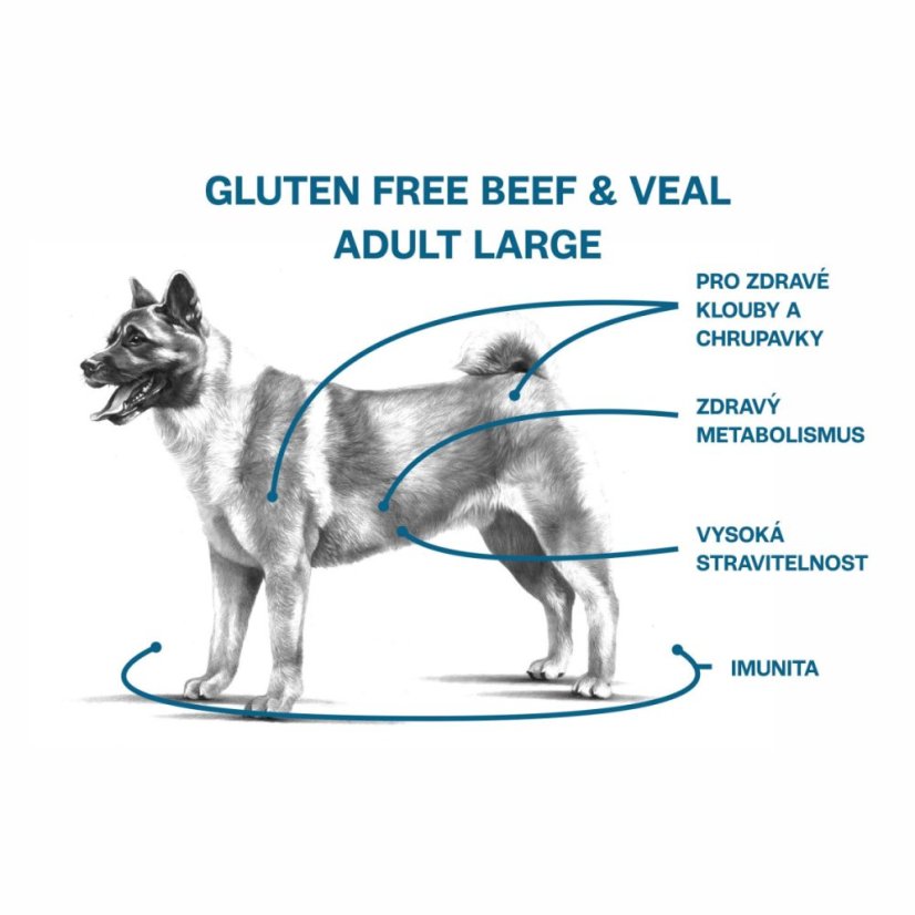 13 kg, Sam's Field Gluten Free Beef & Veal Adult Large, superprémiové granule, (Sams Field bez lepku)