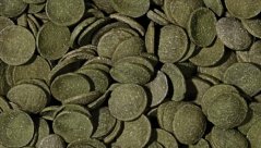 Tropical Green Algae Wafers, 1 000 ml