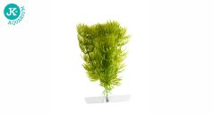JK Akvarijná rastlina Anacharis 13-16 cm