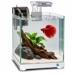 JK ANIMALS JK-A221 Akvarium biele 22×22×25 cm, 9 l