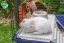 Ferplast Rabbit 120 Klietka s výbavou pre zajace a morčatá 118 x 58,5 x 49,5 cm
