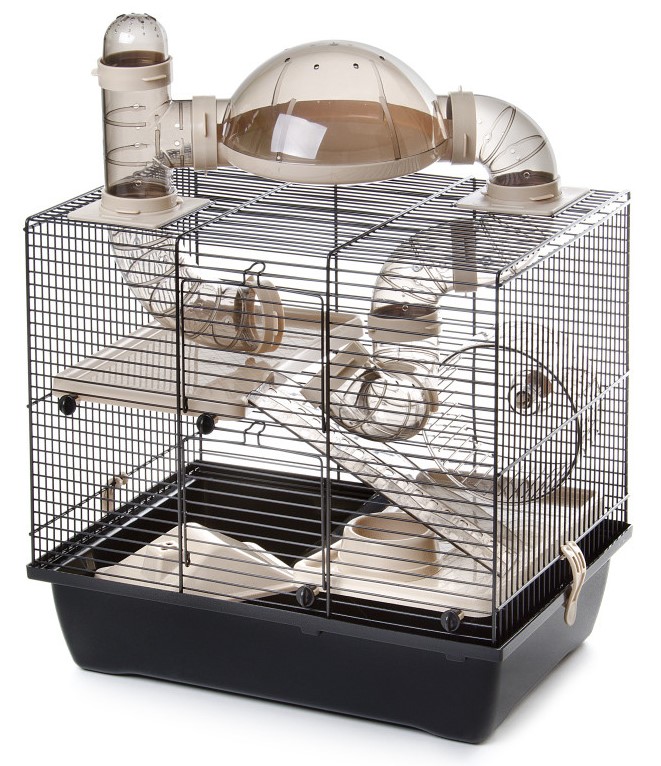 Inter Zoo Rocky Taras béžová 41 x 27 x 38 cm