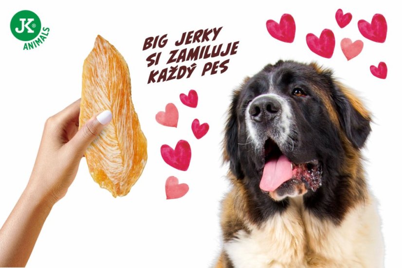JK ANIMALS Big Jerky 100% Chicken Meat sušené kuracie filety 1 ks, cca 10 g