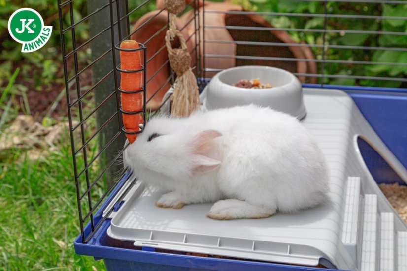 Ferplast Rabbit 120 Klietka s výbavou pre zajace a morčatá 118 x 58,5 x 49,5 cm