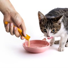 JK ANIMALS kuracia krémová maškrta 5x15 g