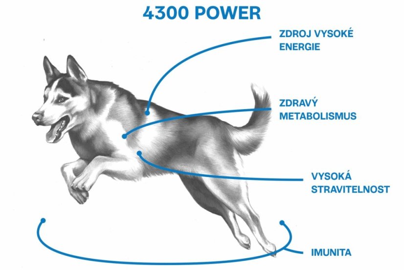 2,5 kg, Sam's Field Low Grain 4300 Power Chicken & Potato, superprémiové granule, (Sams Field bez bez pšenice)