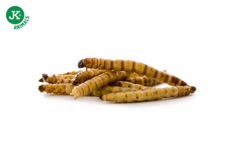 JK ANIMALS, sušený potemník brazilský, 80 g