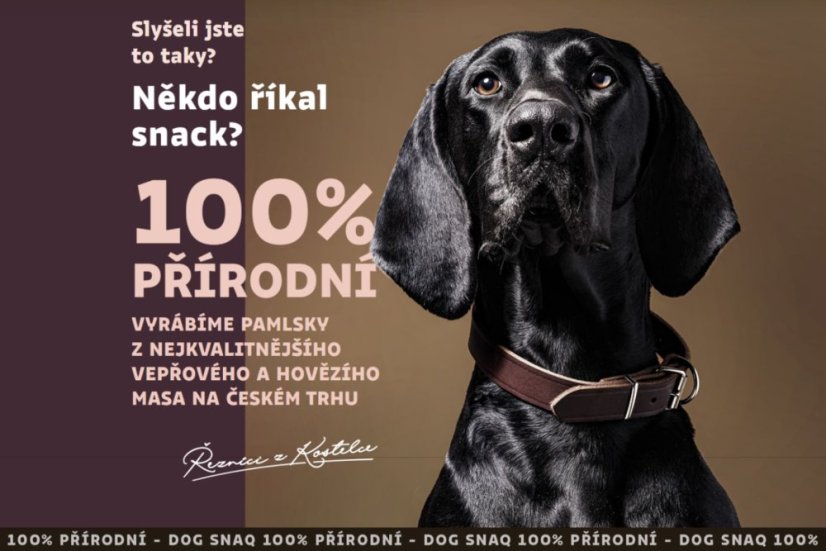 Dog Snaq - sušené hovädzie pľúca, 80 g