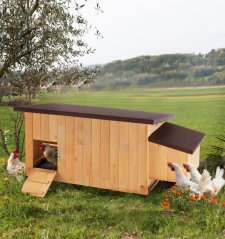 Ferplast CAGE KOCCA 120 Kurín pre sliepky 163,5 x 72 x 77 cm