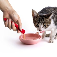 JK ANIMALS kačacia a hovädzia krémová maškrta 5x15 g