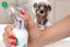 JK ANIMALS Prémiový šampón pre šteňatá s výťažkami z ovsa, makadamový olej 250 ml