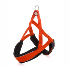 JK ANIMALS Postroj Comfort oranžový 68–80 cm