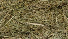 JK Prírodné seno 0,5 kg