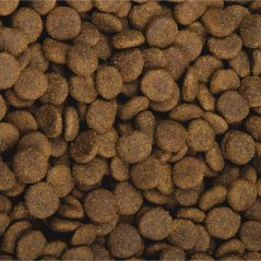 2,5 kg, Sam's Field Low Grain Adult Large Chicken & Potato, superprémiové granule, (Sams Field bez pšenice)