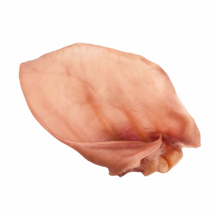 JK ANIMALS sušené bravčové ucho, 1ks , 40 g