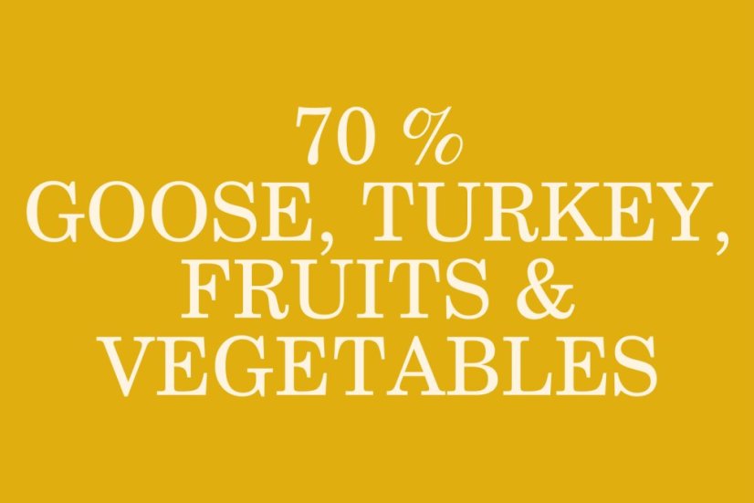 2,5 kg, Sam's Field Gluten Free Goose & Turkey Adult Large, superprémiové granule, (Sams Field bez lepku)