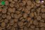 2,5 kg, Sam's Field Gluten Free Beef & Veal Adult Large, superprémiové granule, (Sams Field bez lepku)