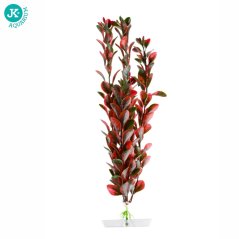 JK Akvarijná rastlina Red Ludwigia 25-28 cm