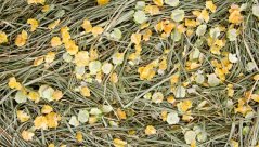 JK Prírodné seno s hrachom a kukuričnými lupienkami 0,5 kg