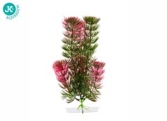 JK Akvarijná rastlina Red Anacharis 13-16 cm