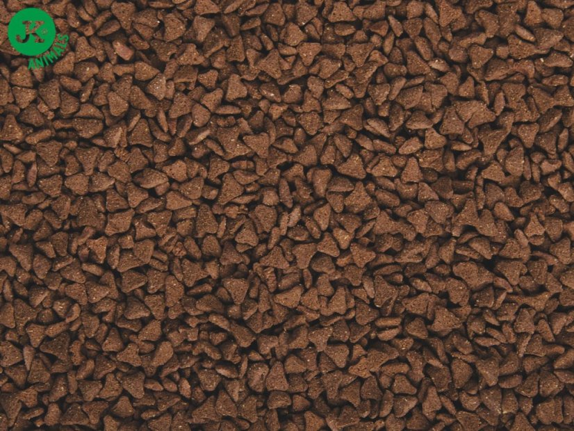 Dajana - COUNTRY MIX EXCLUSIVE, ježko 1 500 g, krmivo pre ježkov