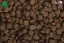2,5 kg, Sam's Field Gluten Free Beef & Veal Adult Medium, superprémiové granule, (Sams Field bez lepku)
