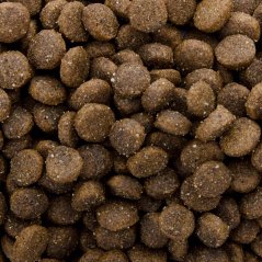 Sams Field Cat Adult Chicken, superprémiové kuracie granule 400 g (Sam's Field)