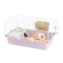 Ferplast GUINEA 80 klietka pre morča, fialová 77 x 48 x 42 cm