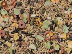 Dajana – COUNTRY MIX, Rat & Mouse 500 g, krmivo pre potkany a myši