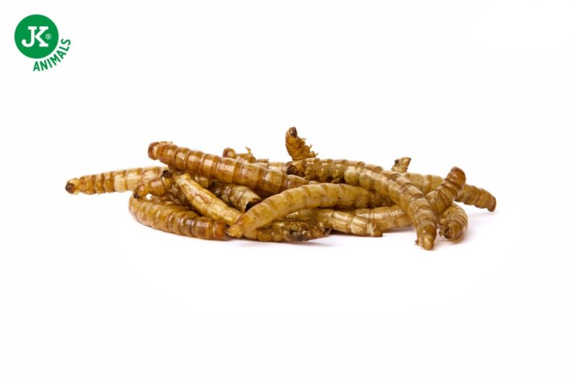 Sušené múčne červy JK Dried Mealworms, 80 g, (Tenebrio Molitor)