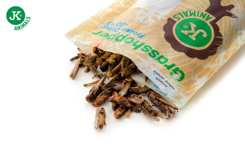 JK ANIMALS, mrazom sušené saranče, 80 g