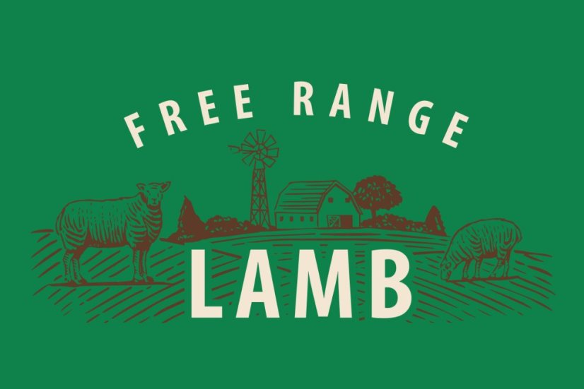 13 kg, Sam's Field Low Grain Junior Large Lamb - Free Range, superprémiové granule pre šteňatá a mladé psy veľkých plemien s jahňacím z voľného chovu, (Sams Field bez pšenice)