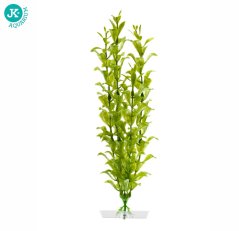 JK Akvarijná rastlina Hygrophila 25-28 cm
