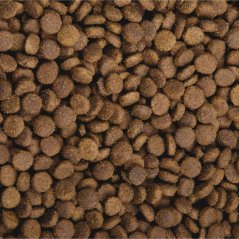 2,5 kg, Sam's Field Gluten Free Beef & Veal Junior Large, superprémiové granule pre šteňatá a mladé psy veľkých a obrích plemien, (Sams Field bez lepku)