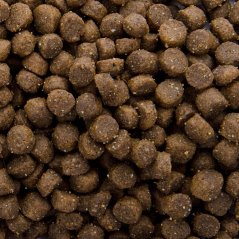 Sams Field Cat Kitten, superprémiové granule 400 g (Sam's Field)