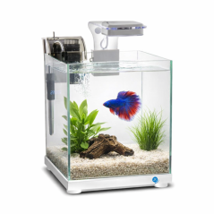 JK ANIMALS JK-A221 Akvarium biele 22×22×25 cm, 9 l
