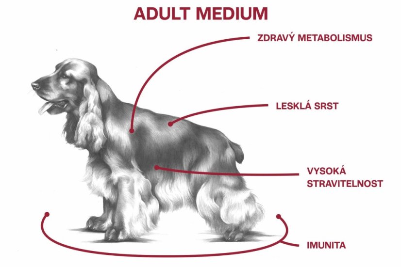 2,5 kg, Sam's Field Low Grain Adult Medium Chicken & Potato, superprémiové granule, (Sams Field bez pšenice)